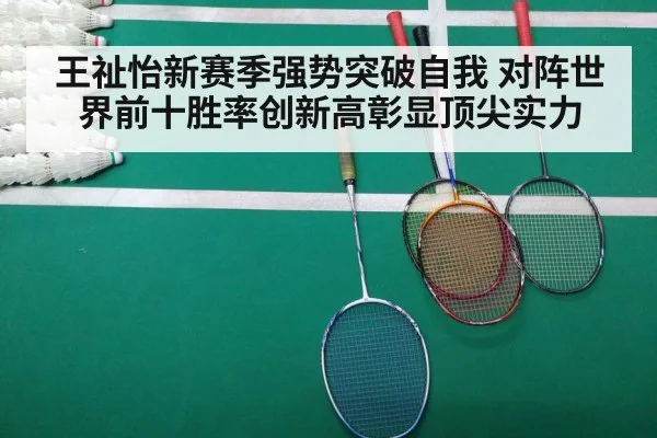 badminton match court